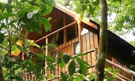 Bayrams Tree Houses โอลิมปอส ภายนอก รูปภาพ
