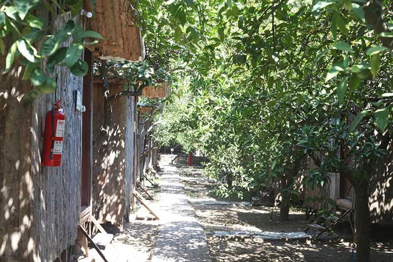 Bayrams Tree Houses โอลิมปอส ภายนอก รูปภาพ
